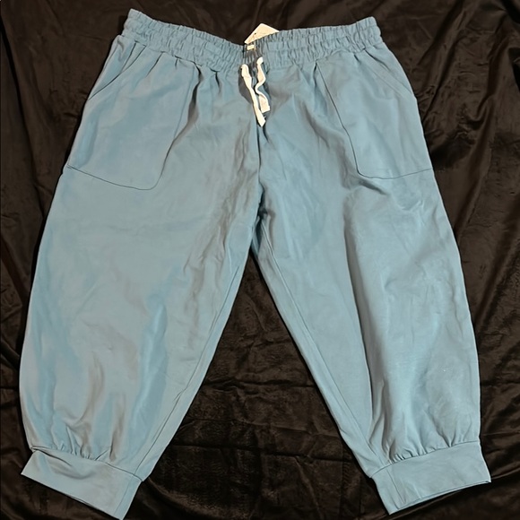 Blue Jogger capris - Picture 1 of 3